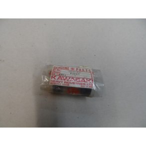 Kawasaki sv�mmer.16031-031. Z900-Z1000