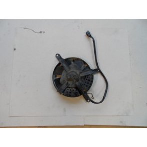 Kawasaki VN800 Klerblsermotor.