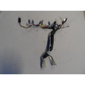 Kawasaki ER5 Instrumentledninger