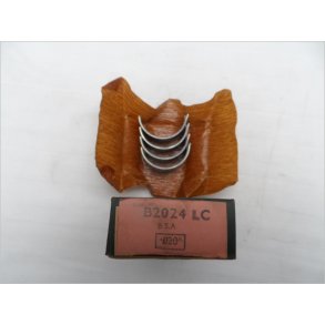 BSA  lejepander, B2024 LC, +0,20